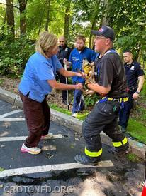 Members rescued a baby deer in storm drain at Croton Library 6/9/2021